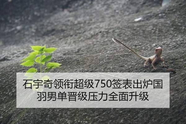 石宇奇领衔超级750签表出炉国羽男单晋级压力全面升级